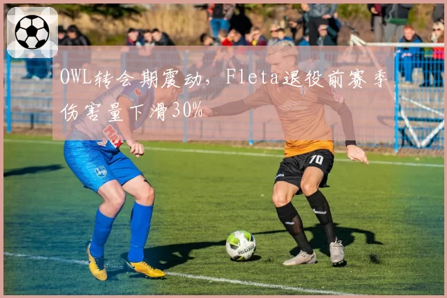 OWL转会期震动,Fleta退役前赛季伤害量下滑30%