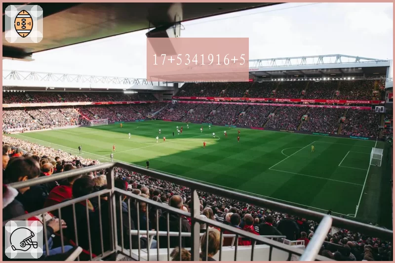 17+5341916+5