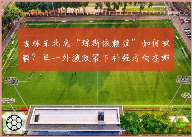 吉林东北虎“琼斯依赖症”如何破解?单一外援政策下补强方向在哪?