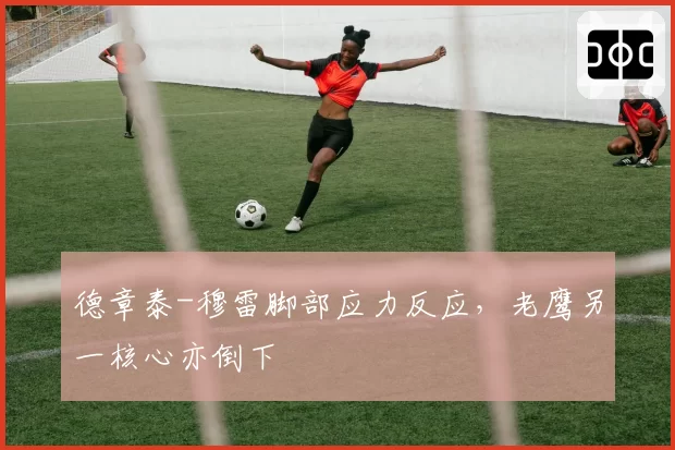 德章泰-穆雷脚部应力反应,老鹰另一核心亦倒下