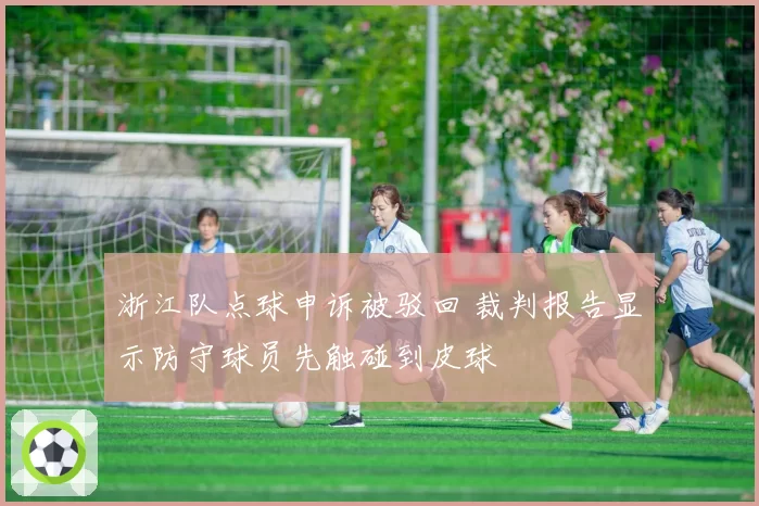 浙江队点球申诉被驳回 裁判报告显示防守球员先触碰到皮球