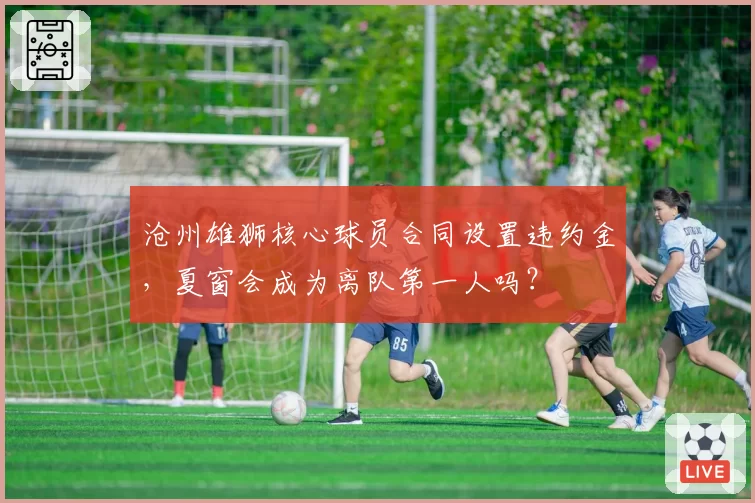 沧州雄狮核心球员合同设置违约金，夏窗会成为离队第一人吗？
