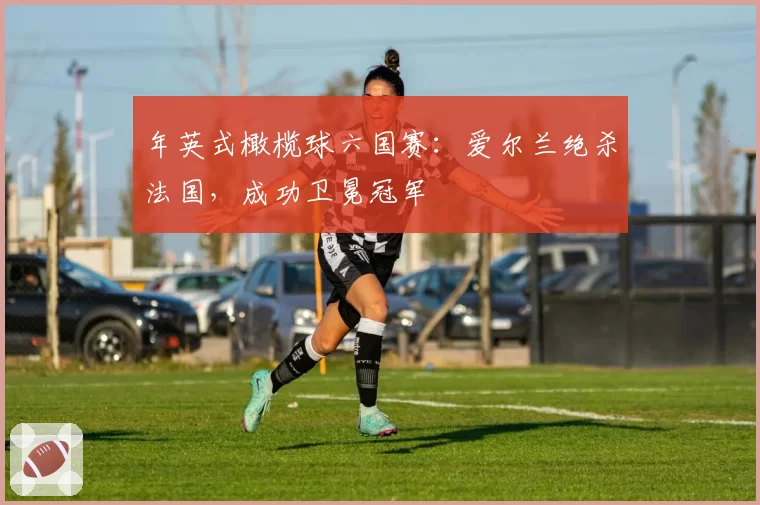 年英式橄榄球六国赛：爱尔兰绝杀法国，成功卫冕冠军