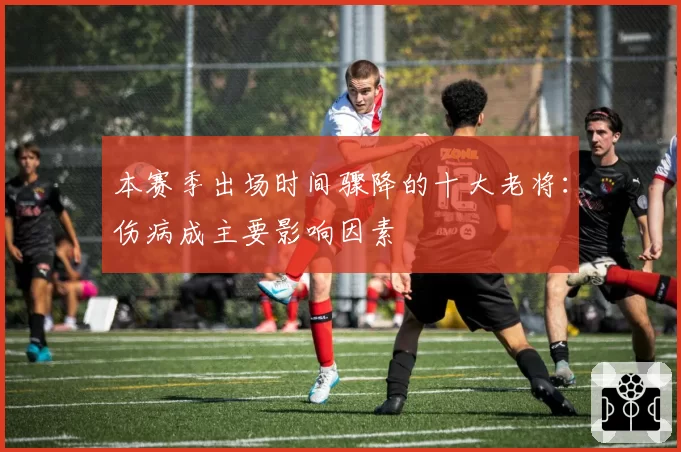 本赛季出场时间骤降的十大老将:伤病成主要影响因素